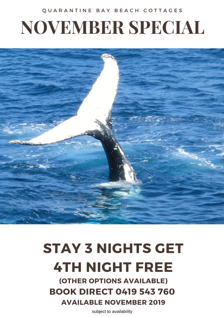 November specials Quarantine Bay Cottages Eden NSW
