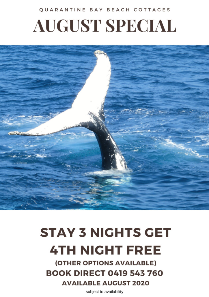 august special quarantine bay